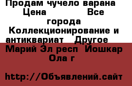 Продам чучело варана › Цена ­ 15 000 - Все города Коллекционирование и антиквариат » Другое   . Марий Эл респ.,Йошкар-Ола г.